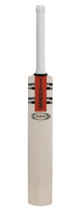 expensive cricket bat